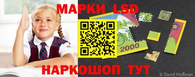spice Краснодар
